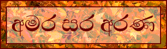 Amara Sara Arana